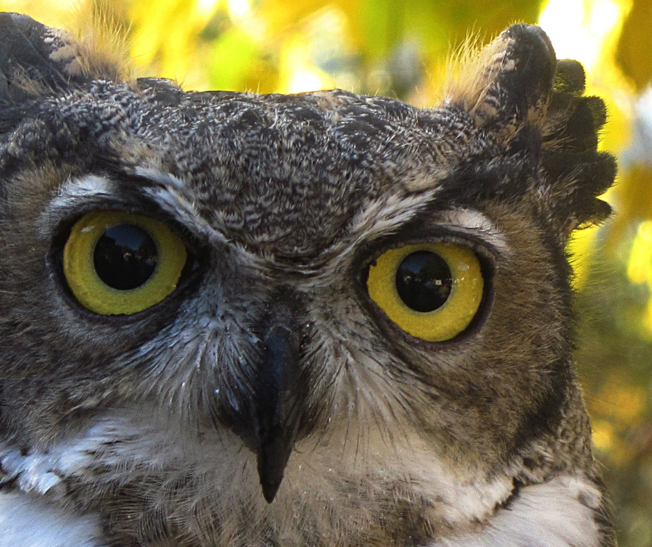 Book Review | The Richest Man In&nbsp;Babylon