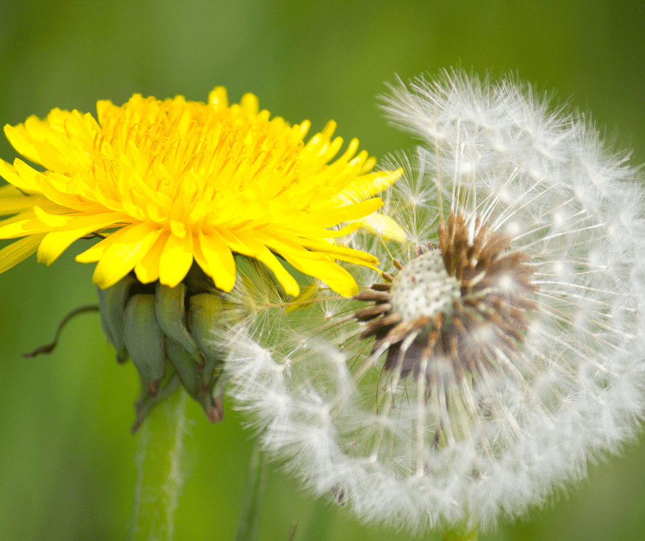 What is True Transformation | Changing From The Inside&nbsp;Out