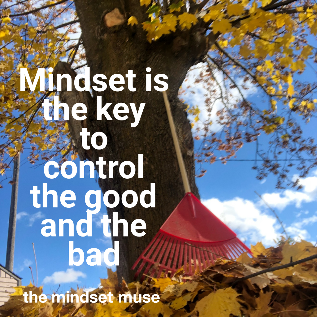 What is a Caregiver’s Mindset | Control the Good or&nbsp;Bad?