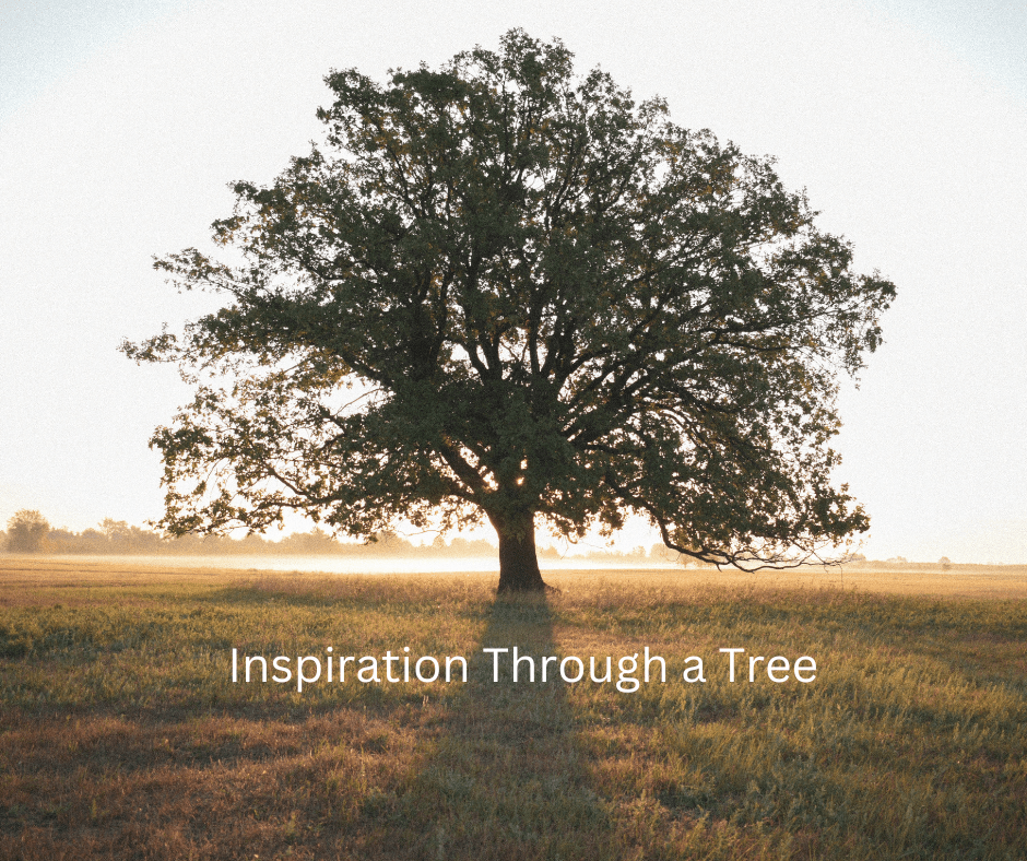 Inspiration Through A&nbsp;Tree