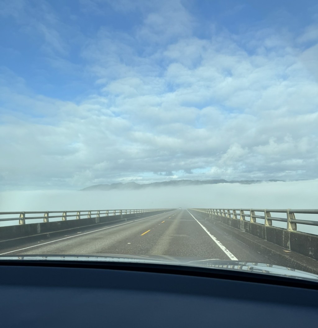 Persistence To Get&nbsp;Perseverance